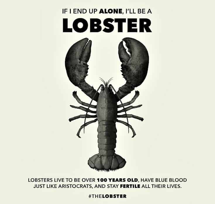 The Lobster Movie 