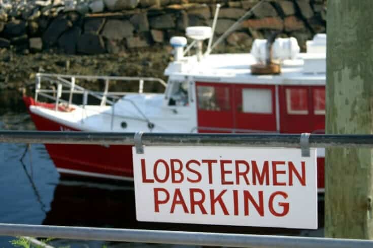 Lobster Season What Is The Best Time Of Year To Buy Lobster - 