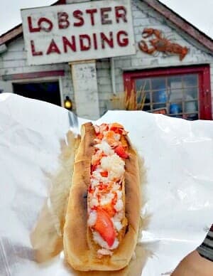 Lobster Rolls in Connecticut