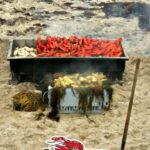 Host a Clambake Party