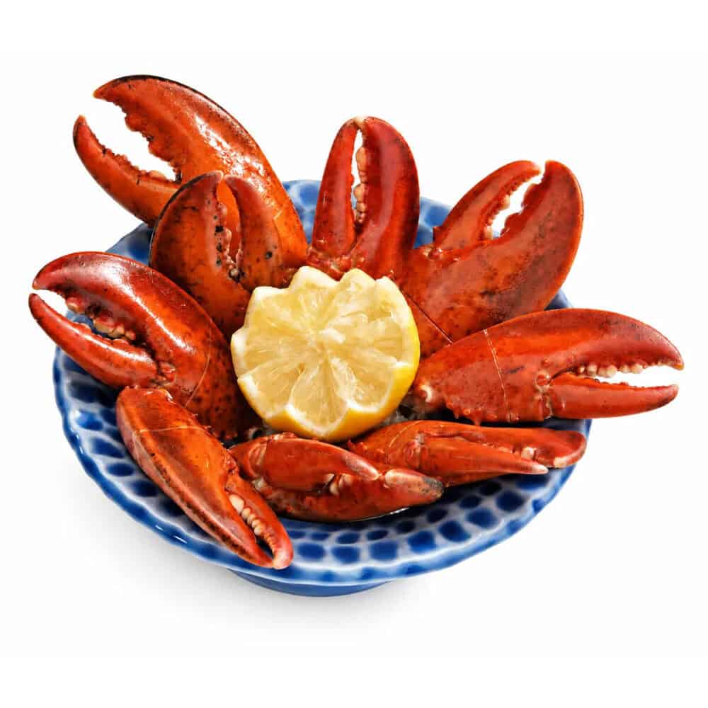 Cooked Maine lobster cocktail claws on a blue platter with lemon
