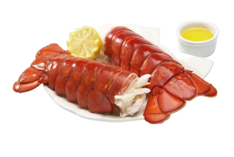 Large Lobster Tails for Sale Order Whale of a Lobster Tails