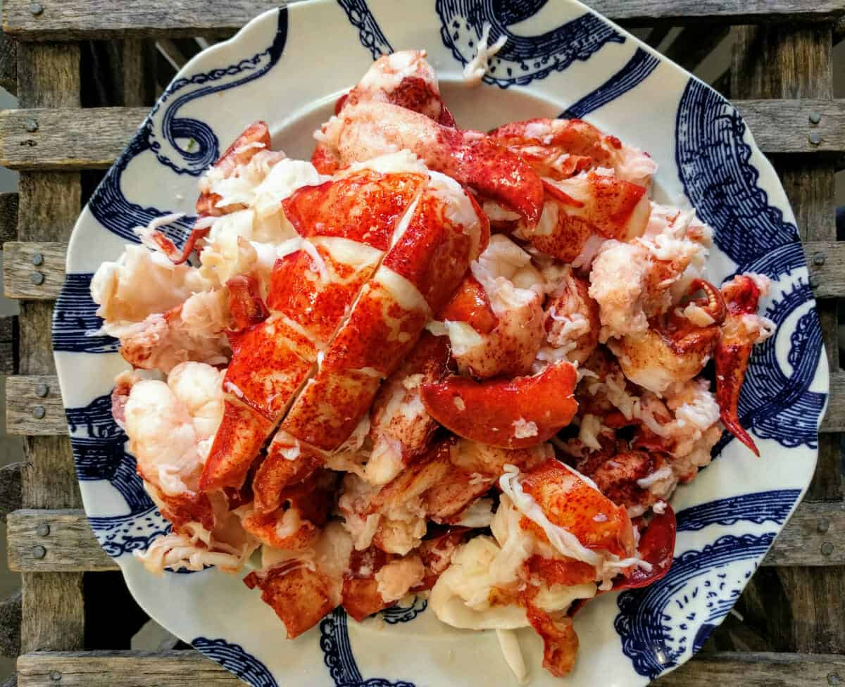 uncooked lobster meat