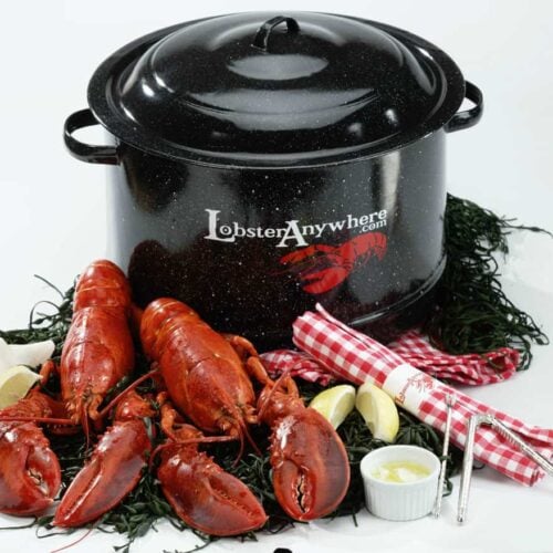 Maine Attraction Lobster Dinner