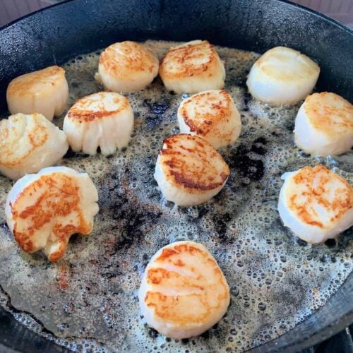 Buy sea scallops, pan-seared to golden perfection in a cast iron skillet with sizzling butter. These premium scallops are tender, sweet, and ideal for gourmet seafood dishes. Perfect for sautéing, grilling, or broiling, sea scallops are a must-have for fine dining and home-cooked seafood meals.