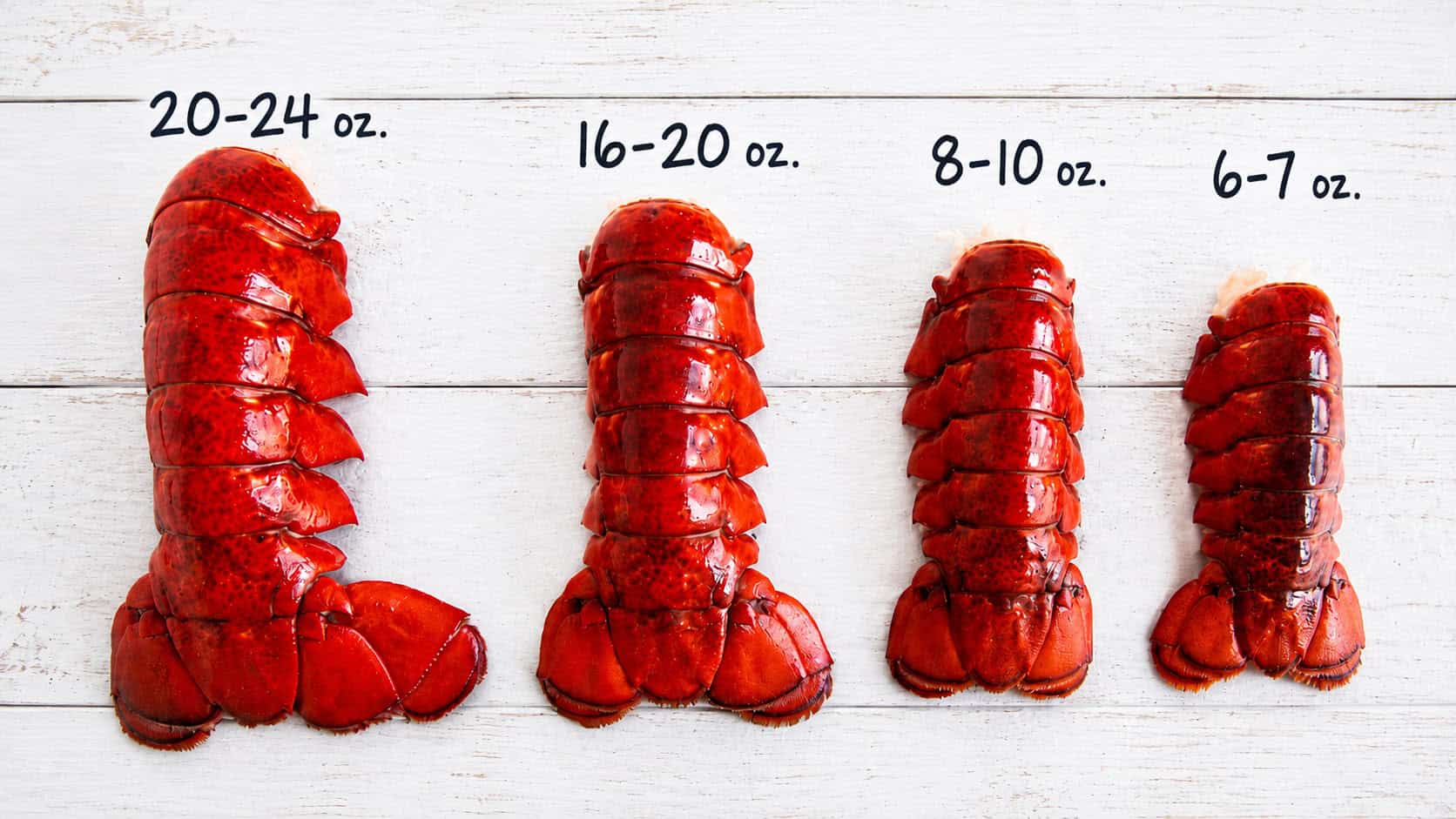 Tail Sizes Compared