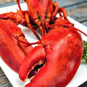 Live Maine Lobster - 1.25 - 1.5 lb