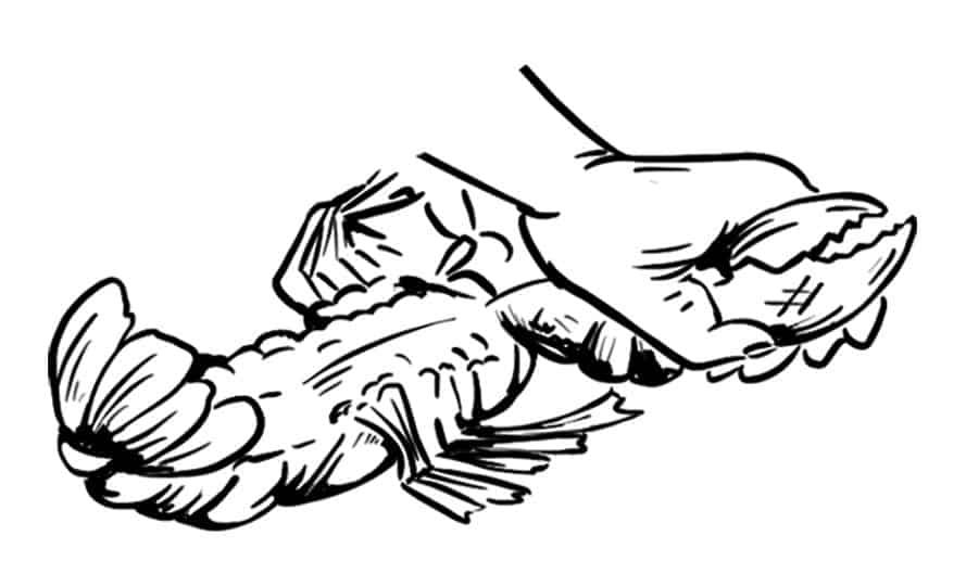 Twist off lobster claws
