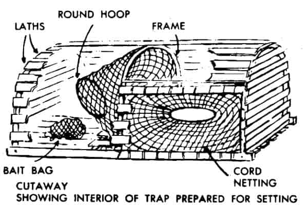 Maine Lobster Trap