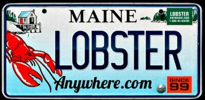 where can you buy lobster