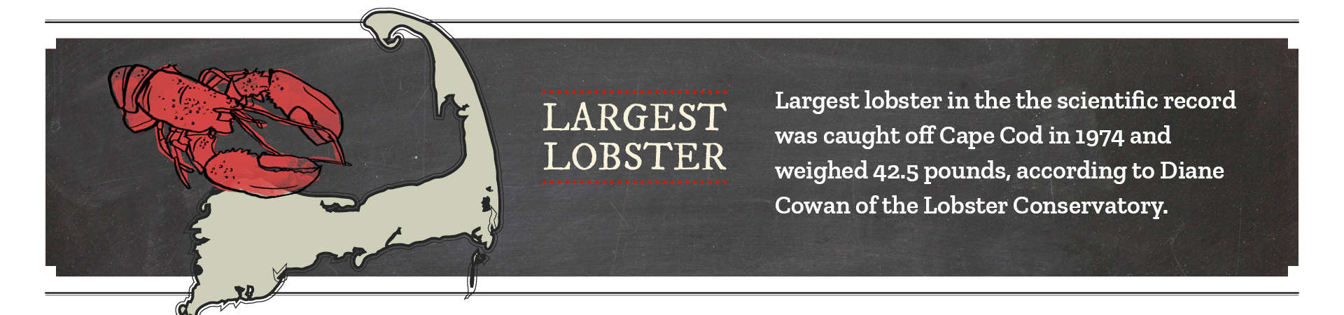 Lobster Size Chart