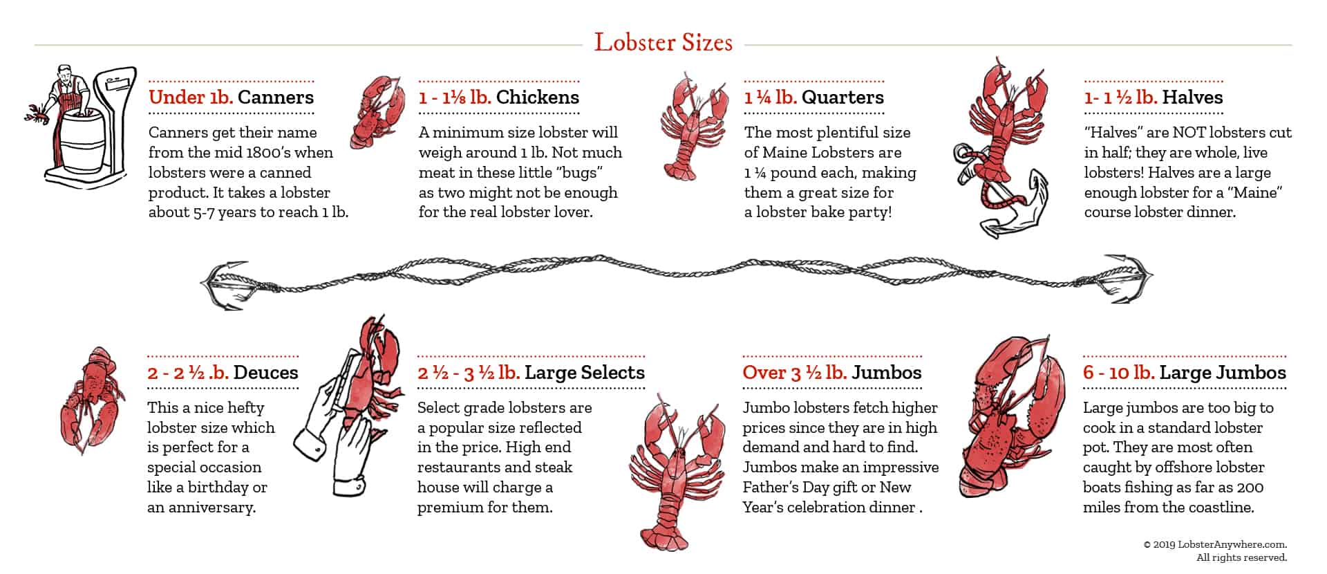 What Size Lobster To Buy Picking The Right Size Lobster