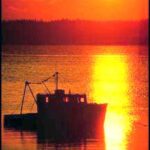 Top Five End of Summer Lobster Recipes