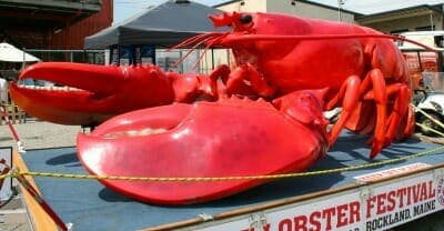 9 Fascinating Lobster Facts