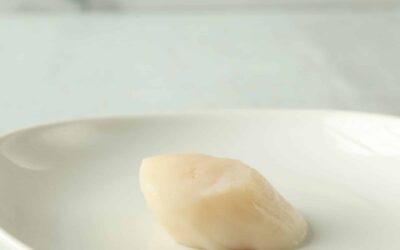 Baked Scallop Recipe