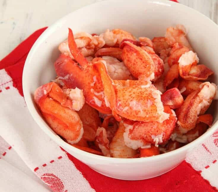 Simple & Easy-To-Make Lobster Salad Recipe To Drool Over!