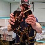 Lobster Delivery Father's Day