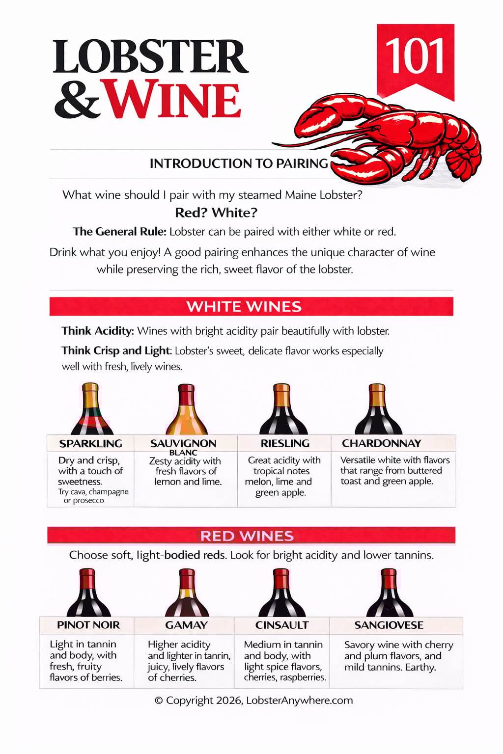 Best wines to pair with lobster infographic