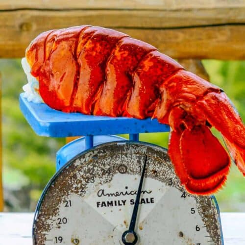Monster Lobster Tails