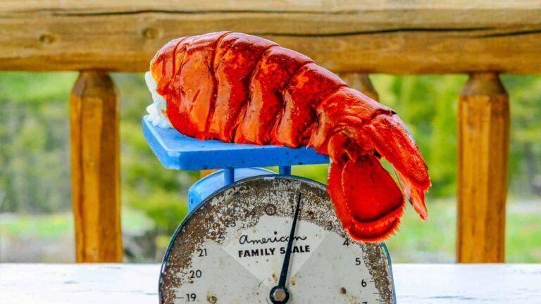 COLOSSAL LOBSTER TAIL main image 1
