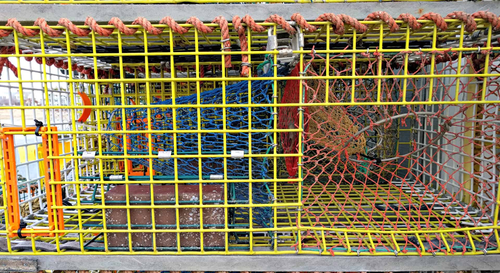 Wire Lobster Trap