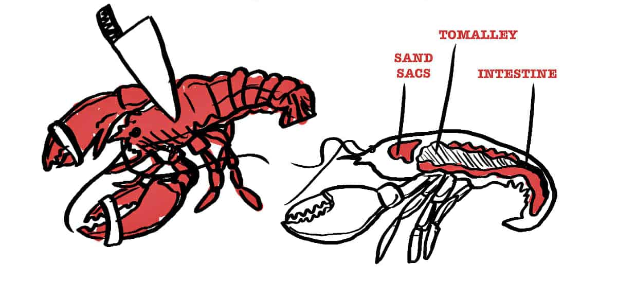 Tuer le homard