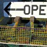 Lobster Online Store Open