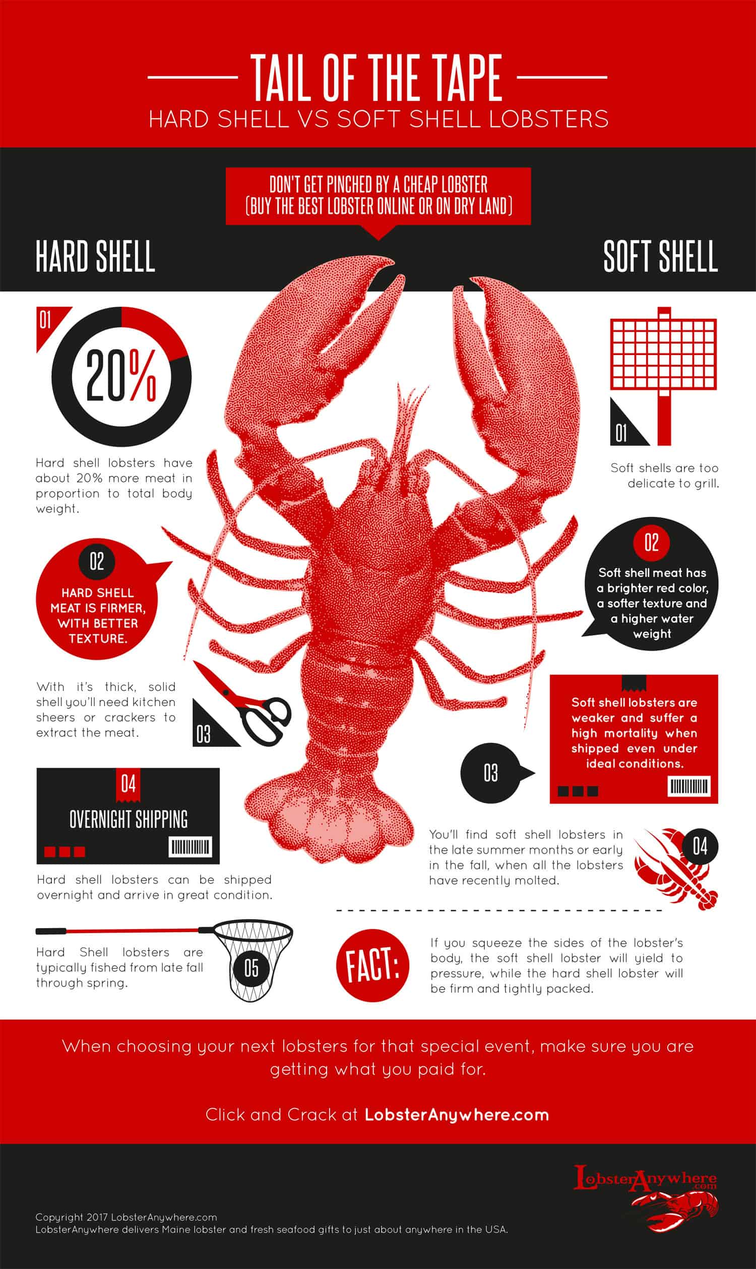 Which is Better: Hard Shell or Soft Shell Lobster