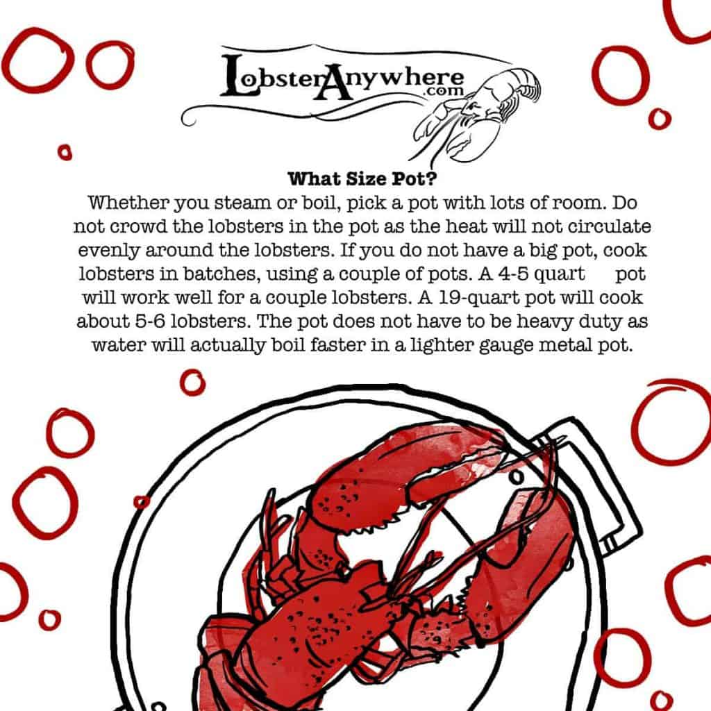 How Big a Pot Lobster