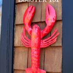 Learn About Maine Lobsters