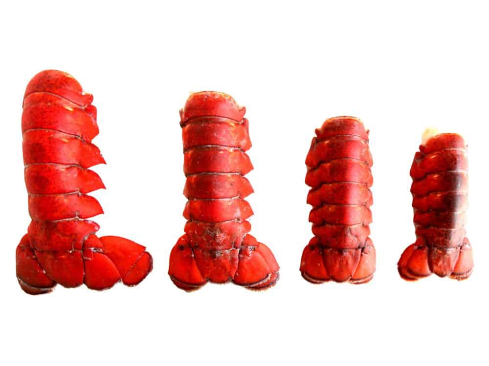 Frozen Lobster Tails