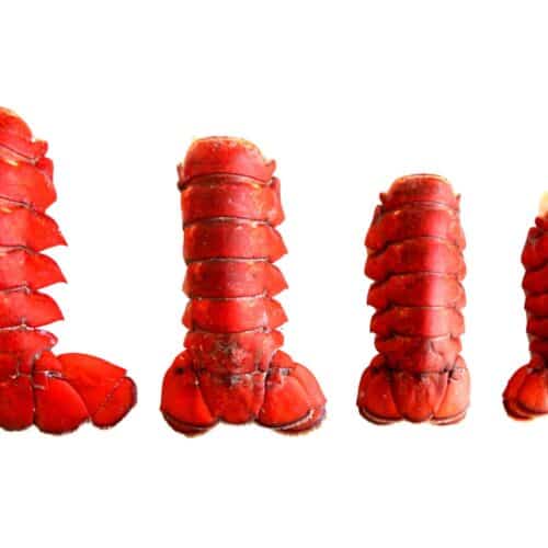Fresh Frozen Lobster Tails