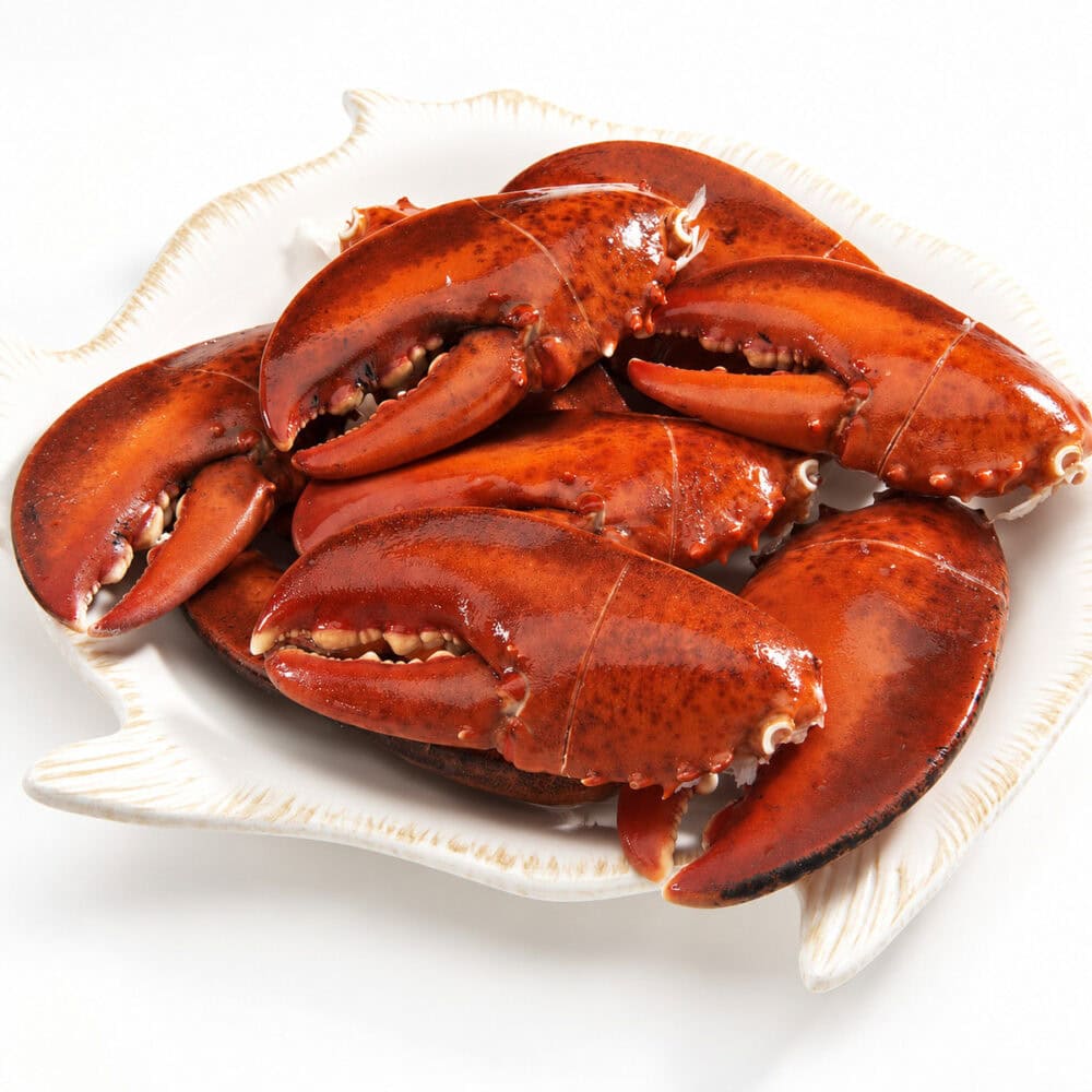 Cooked lobster claws on a white serving plate