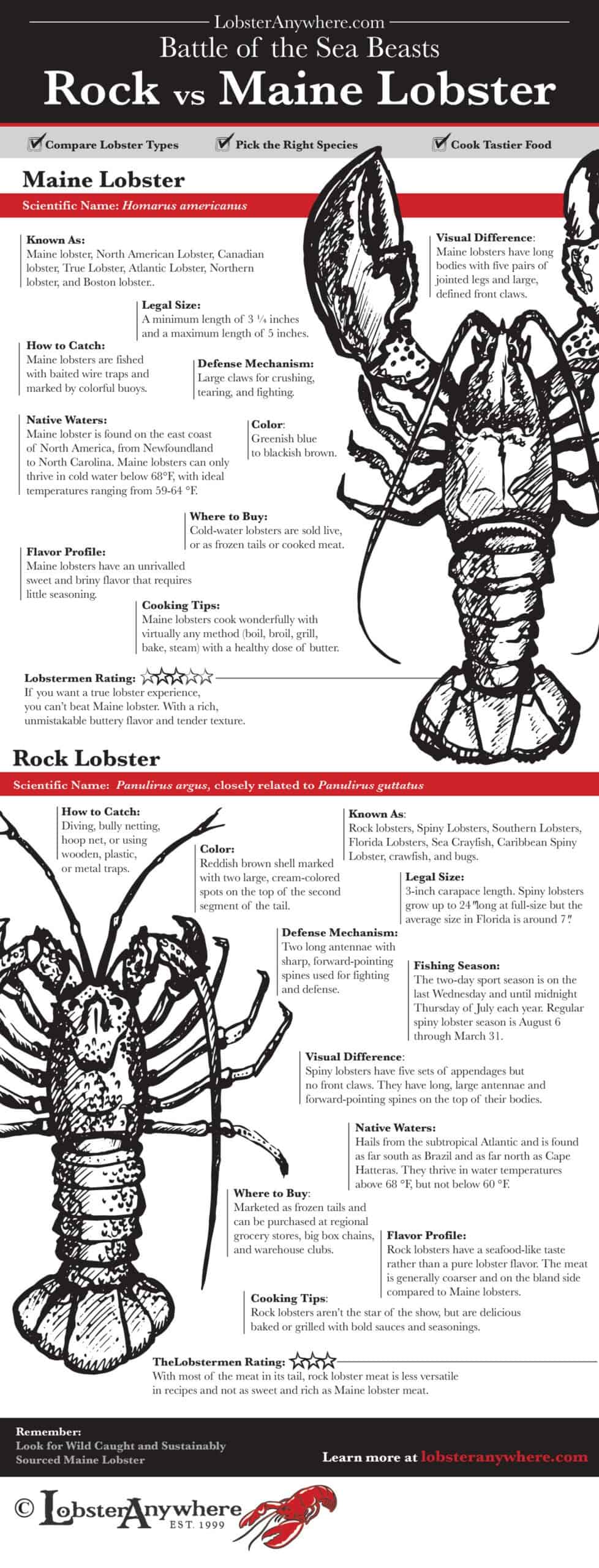 Rock vs Maine Lobster: What's The Difference?