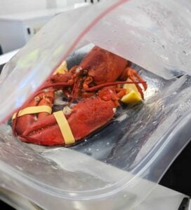 Steamed Lobster Microwave