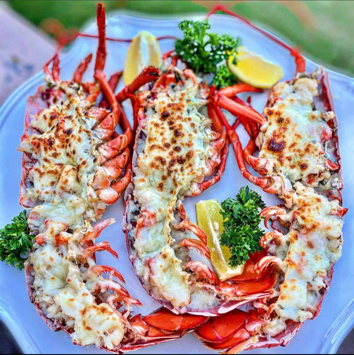 Lobster Thermidor 