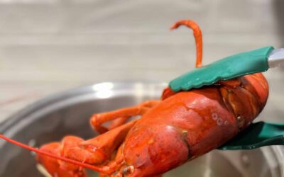 How to Boil Lobsters