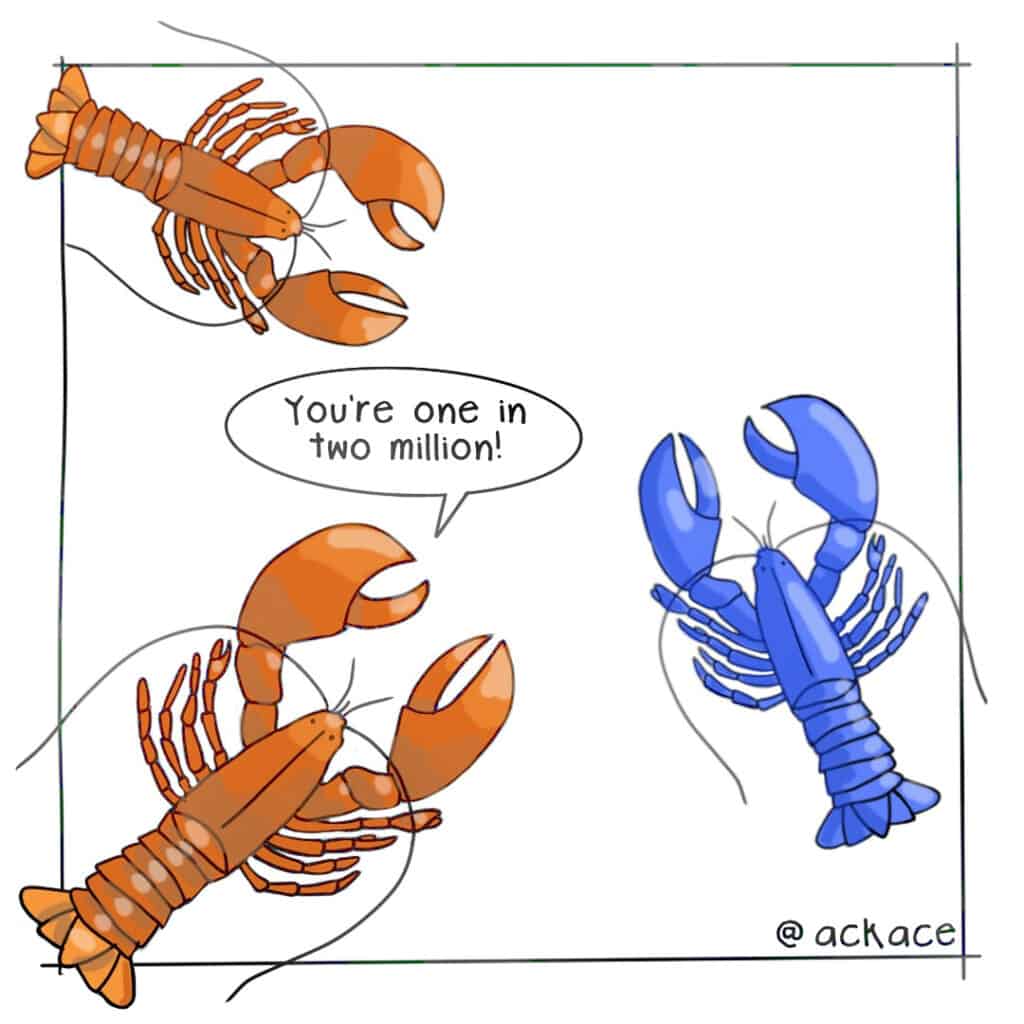 Rare Blue Lobster