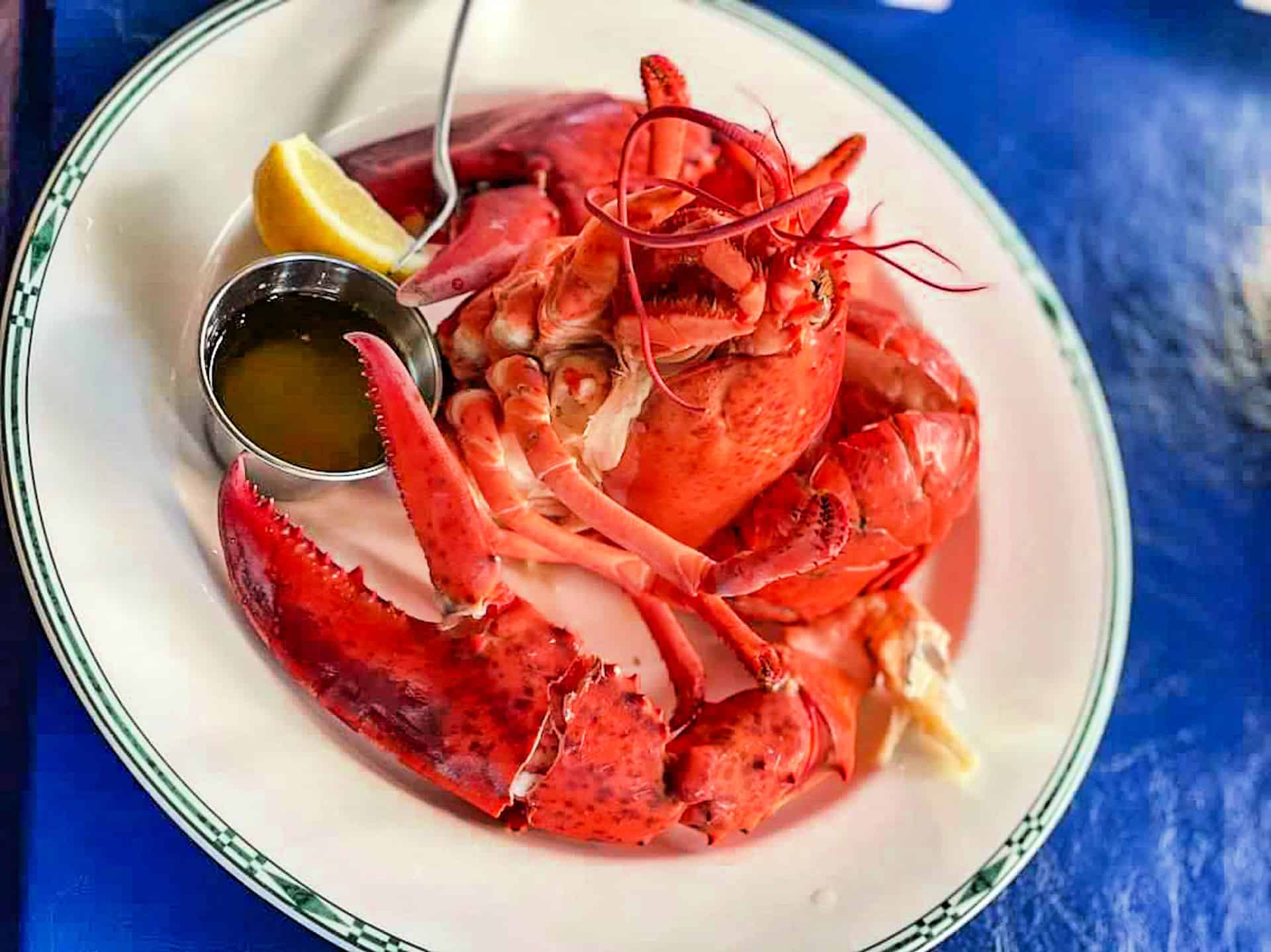 Whole Maine Lobster Steamer Pot - Picture of Steelefish Grille, Bel Air -  Tripadvisor