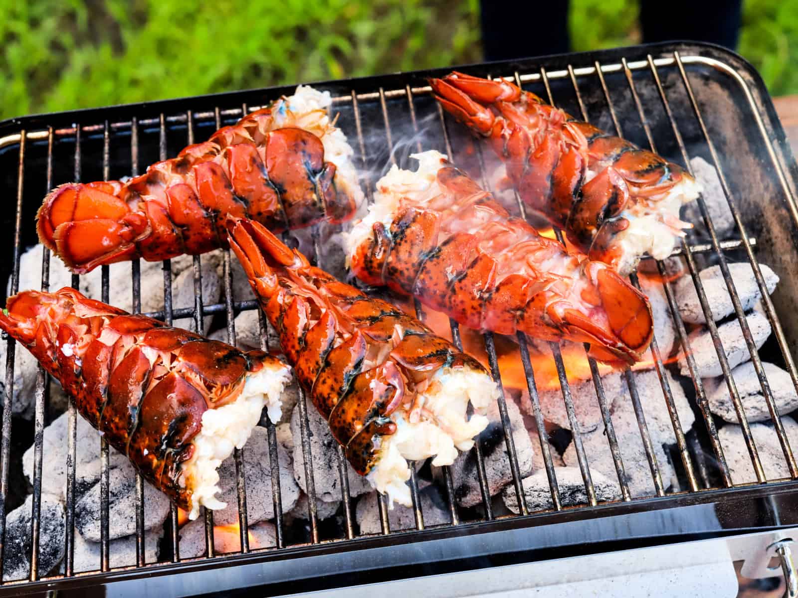 sweet 16 lobster tail deal