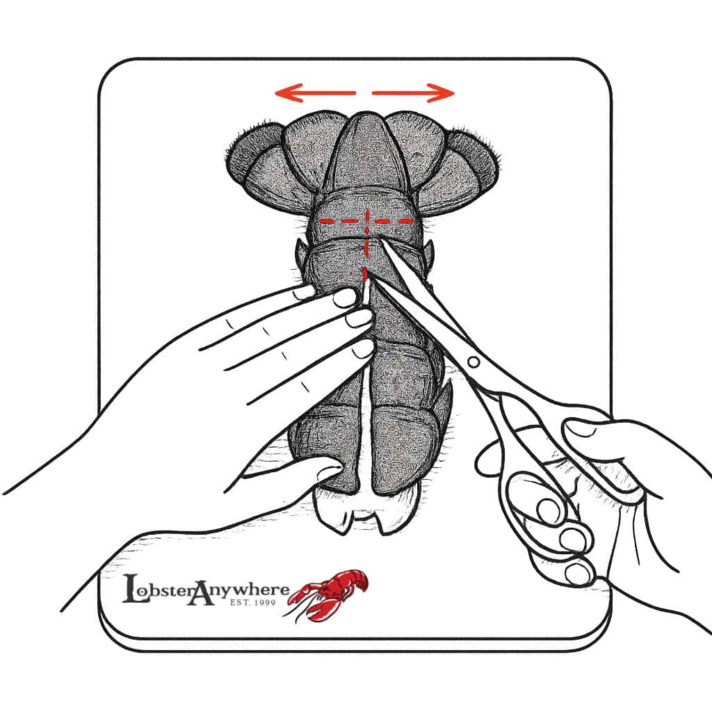 Top-down illustration showing a small T-cut above the fantail, then splitting the shell to butterfly or halve a lobster tail.