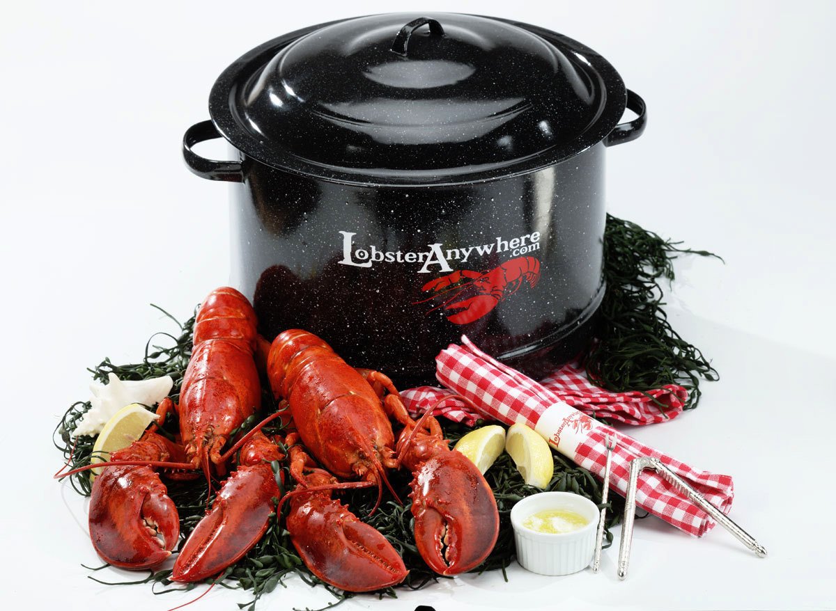Lobster pot with two cooked Maine lobsters