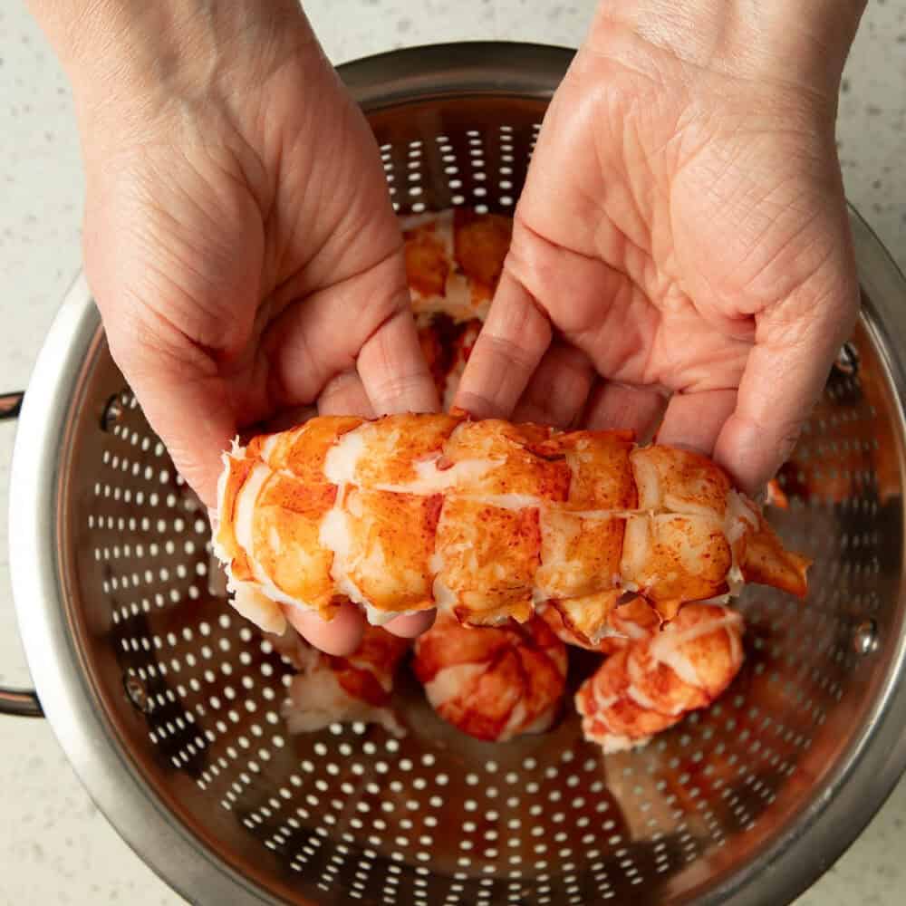 Cooked Maine lobster tail meat held in hand