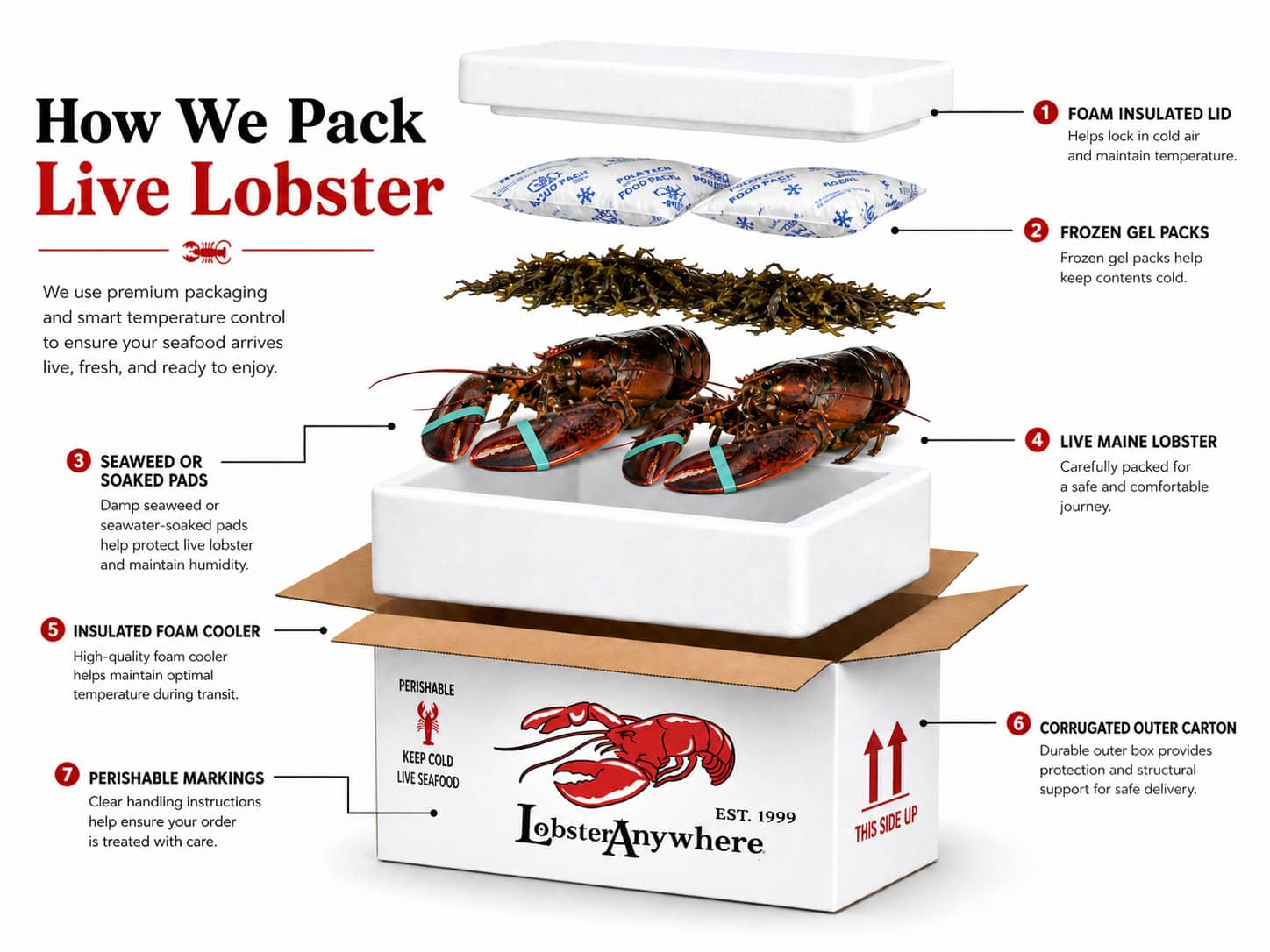 How LobsterAnywhere packs live lobster with gel packs, seaweed, and an insulated shipping box