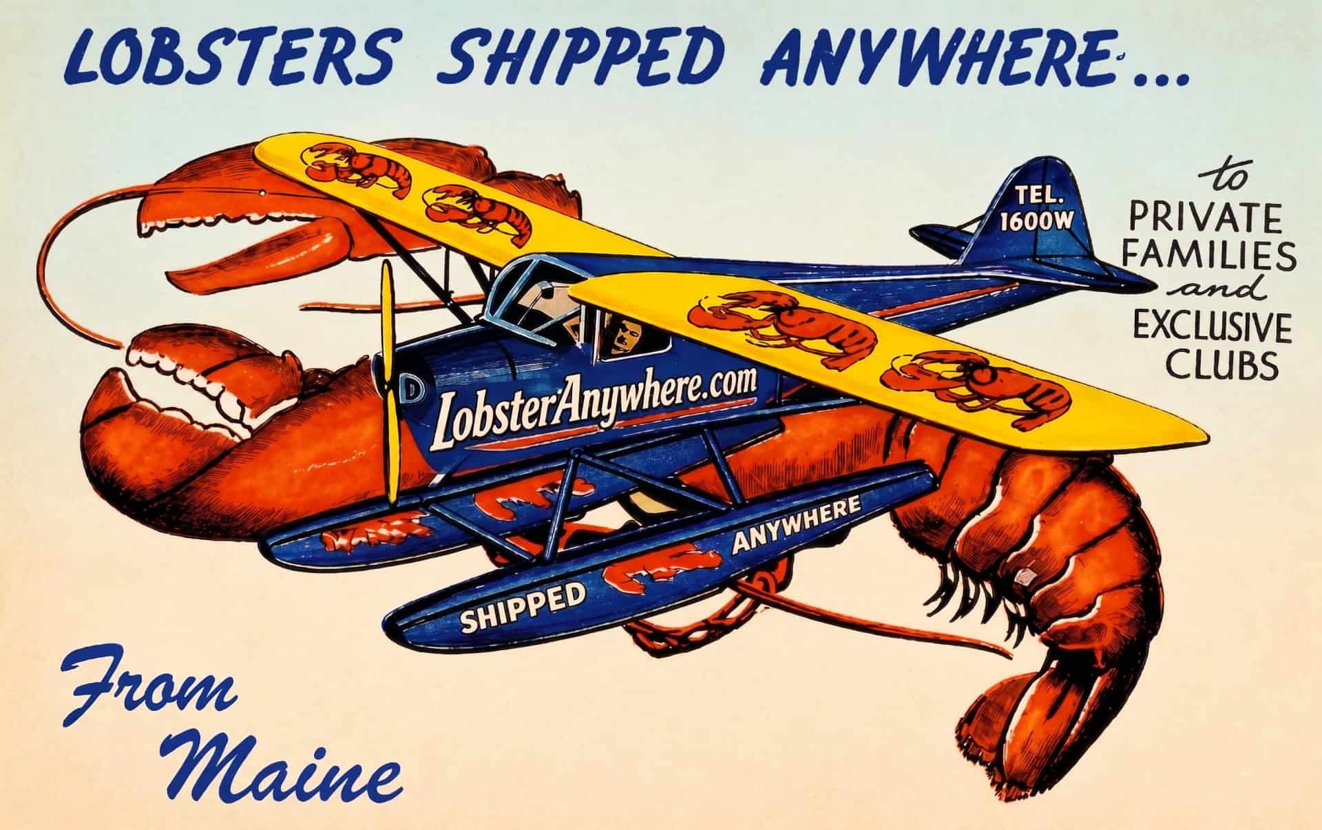 Vintage illustration of a Maine lobster riding a LobsterAnywhere.com biplane with the tagline Lobsters Shipped Anywhere from Maine