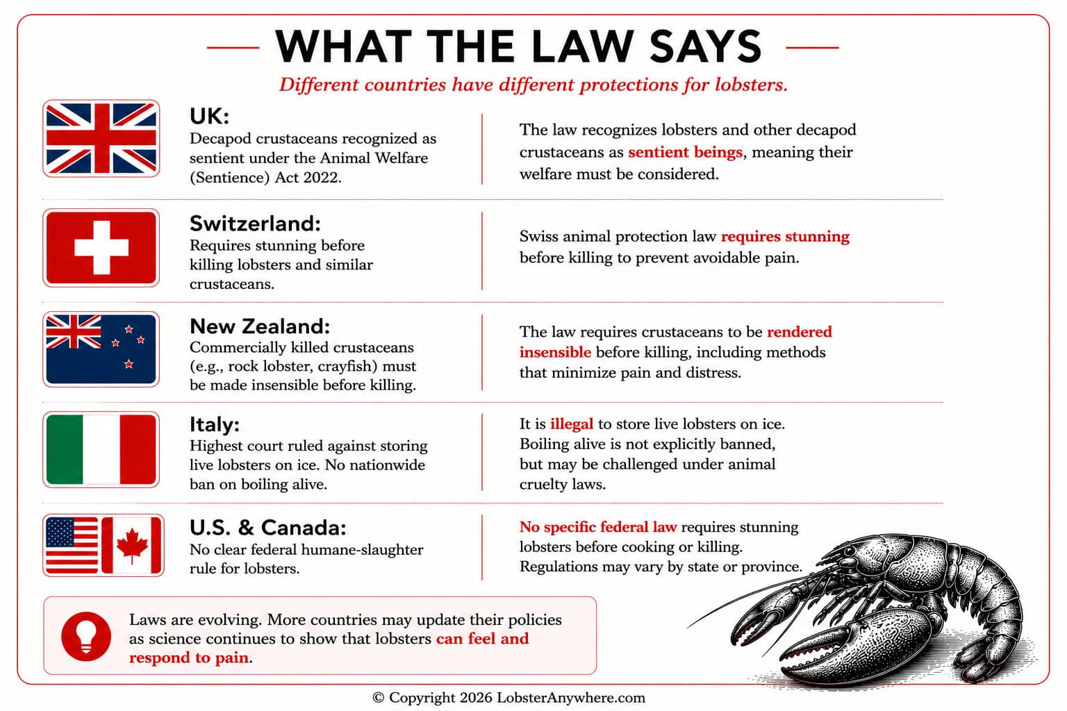 Infographic summarizing lobster welfare laws in the UK, Switzerland, New Zealand, Italy, the United States, and Canada