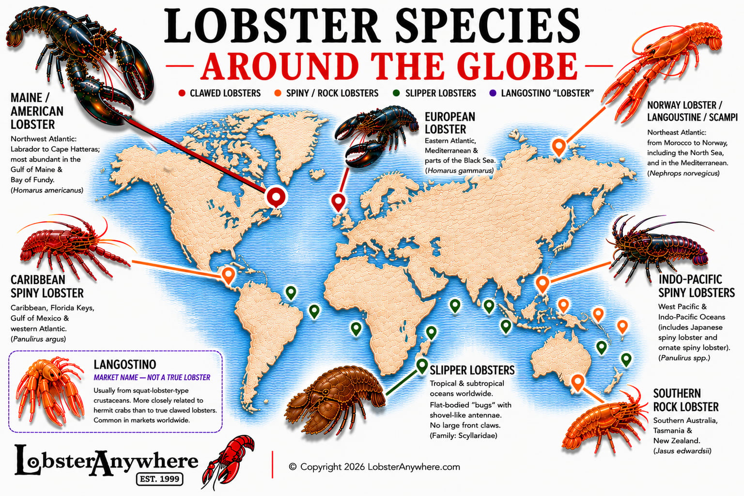 Lobster species around the globe shown on a world map.