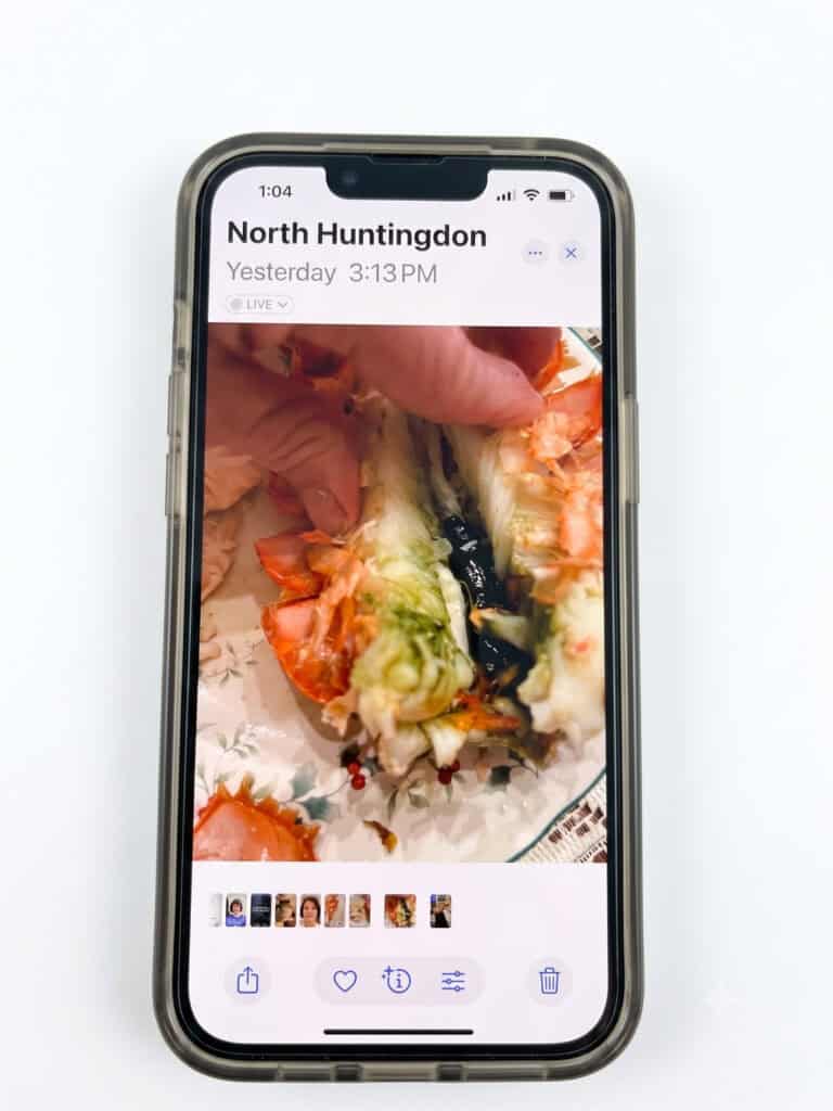 Lobster roe is the black and red stuff inside your lobster