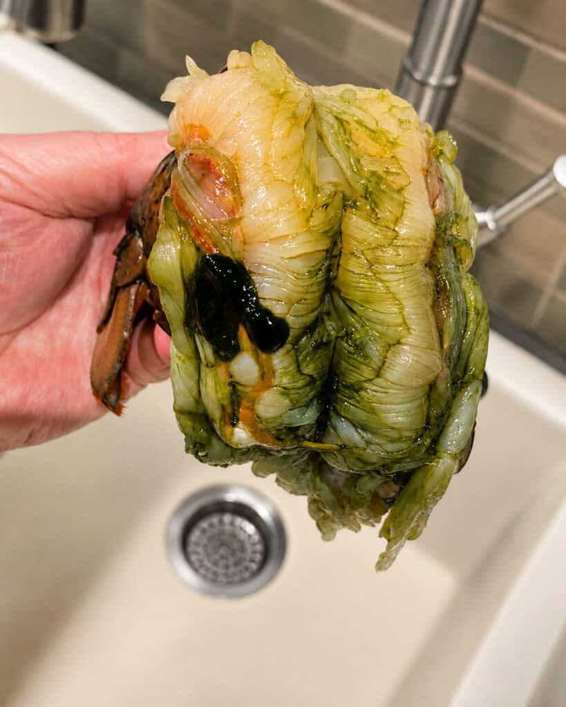 Opened raw lobster tail showing green-stained meat and a small dark internal area.