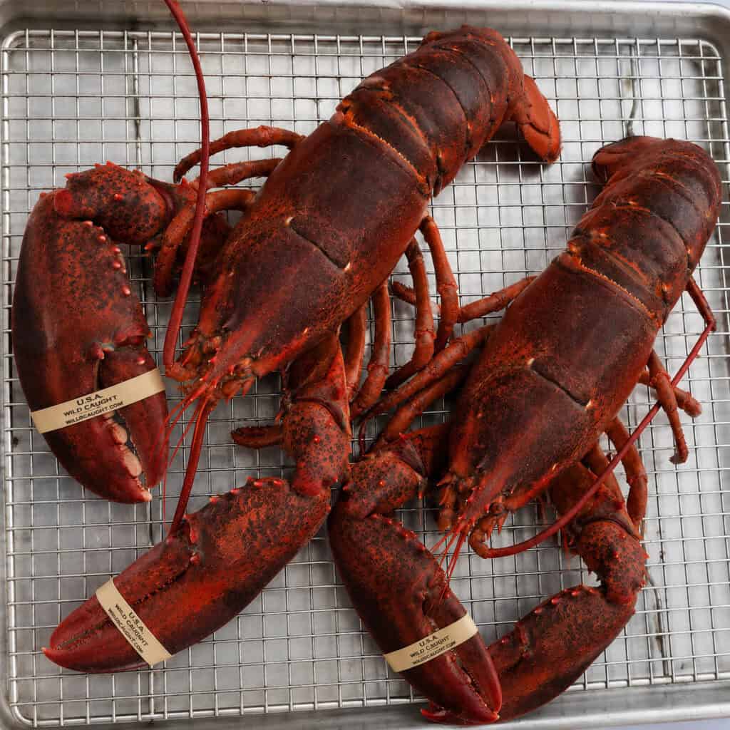 red shells do not mean the lobster is cooked all the way